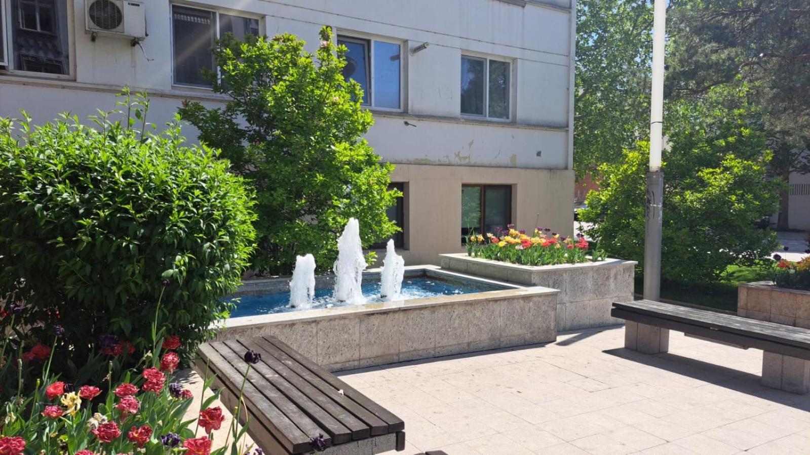 Apartament Kitty Centrul Istoric Craiova Buitenkant foto
