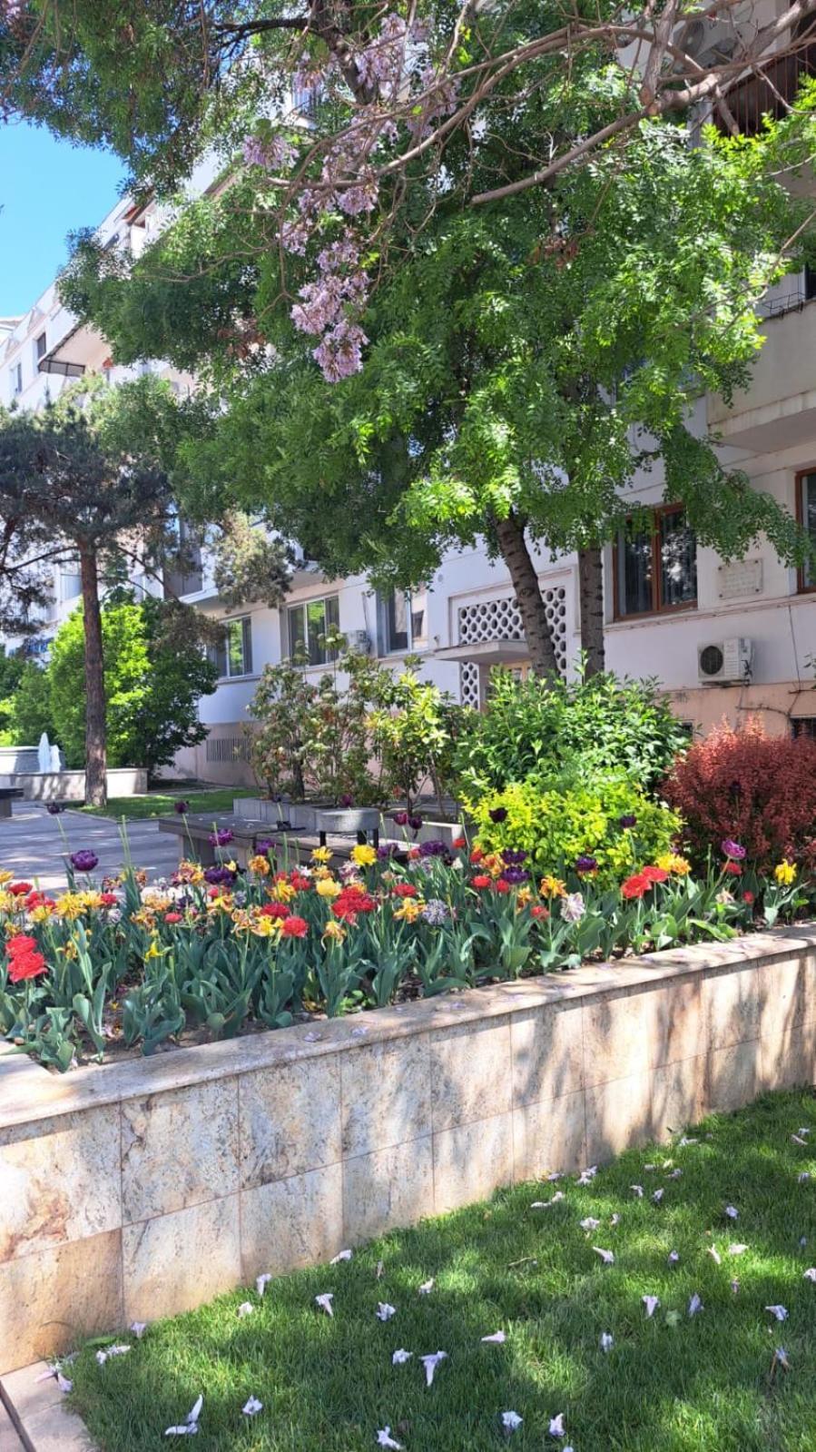 Apartament Kitty Centrul Istoric Craiova Buitenkant foto